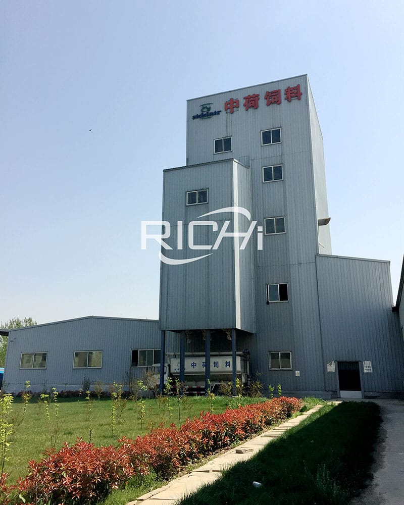 Advanced big Poultry Feed Mill project 10 ton per hour