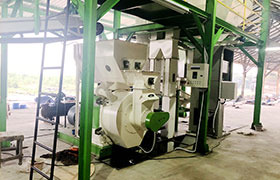 Indonesia 1-1.5t/h wood pellet production line 印尼1-1.5t/h木屑颗粒生产线