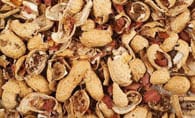 Peanut Shells 花生贝壳
