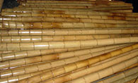 Bamboo Pole 竹竿