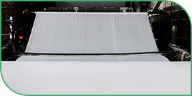 Paper industry 造纸业