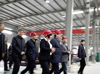 河南省委书记郭庚茂来厂视察