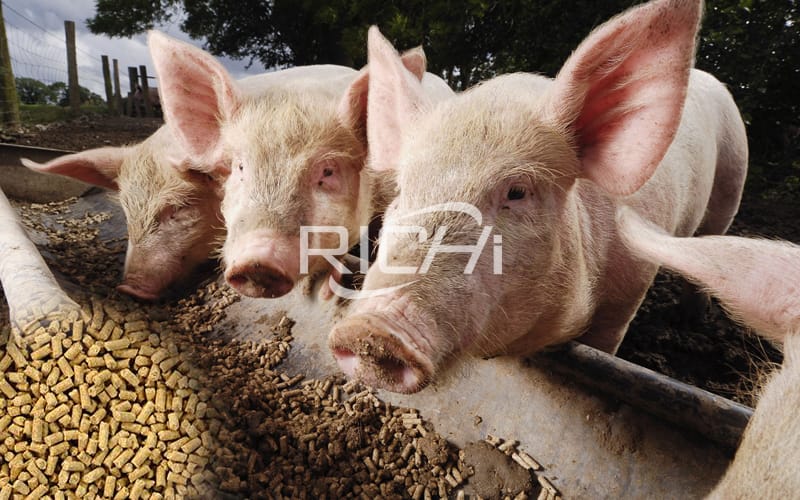 移动动物，猪，家禽，牛，饲料生产线，设计简单