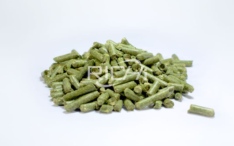 为菲律宾市场新设计的1.5-2tph生物质燃料颗粒制造厂