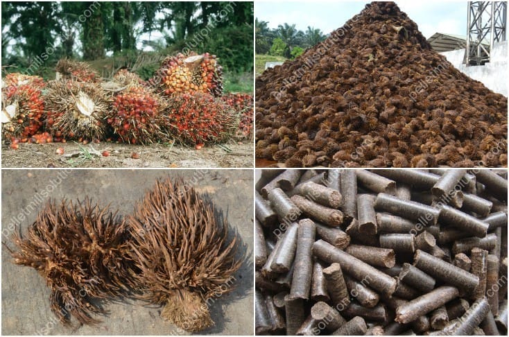 How To Make Palm Empty Fruit Bunches Pellets For 1-20TPH Biomass EFB Fuel Pellet Production Plant?