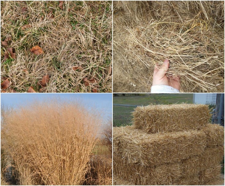 高性能2吨每小时农业废物生物量颗粒制造机6-10mm颗粒