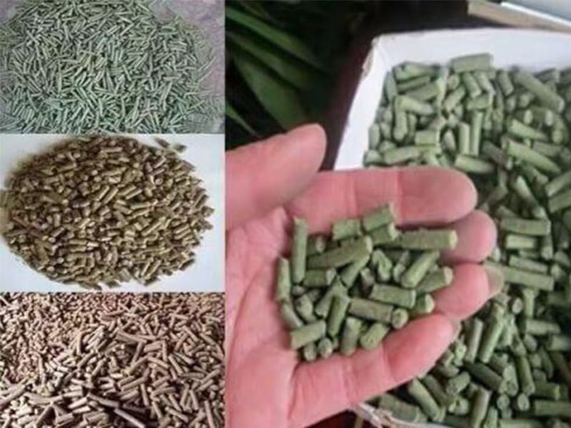 大豆饲料加工技术
