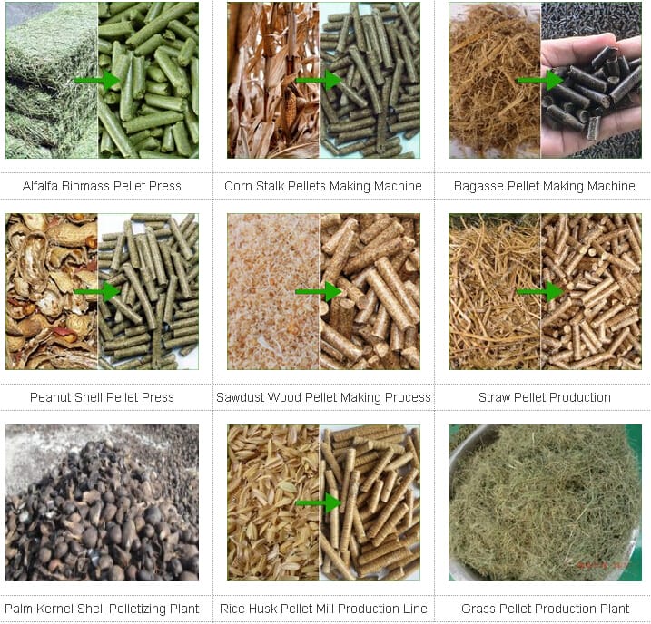性能稳定的松树生物质木屑颗粒机用于生物燃料颗粒