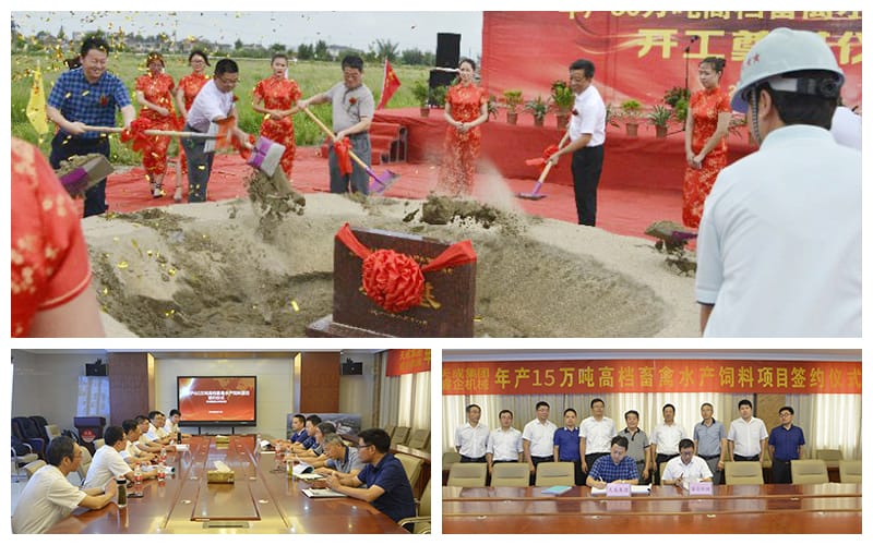 cattle & poultry feed processing plant
