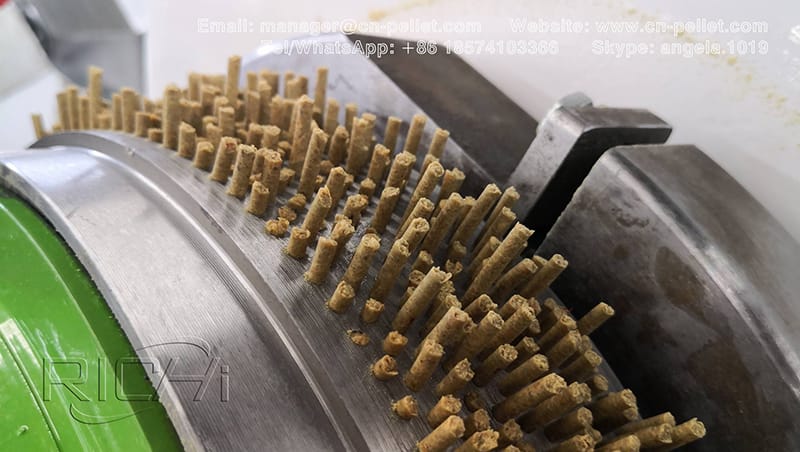 自动鱼虾家禽鸟鸡狗饲料颗粒制造机电动小饲料挤出机加工机械