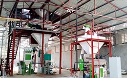 USINE DE肉芽D'Aliments倒瓶Et Poulet de 3-5t / h