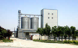 Ligne D'Alagentation enPuréeetMangulésdePouletde 10 T / H AvecSystèmedeStockage En Silo