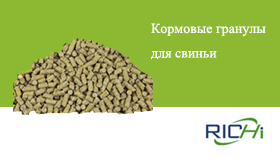 Кормовыегранулыдлясвиньи